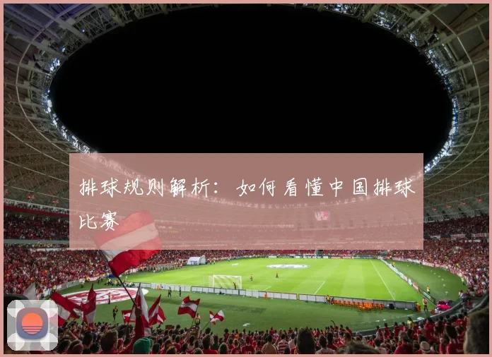 排球规则解析：如何看懂中国排球比赛